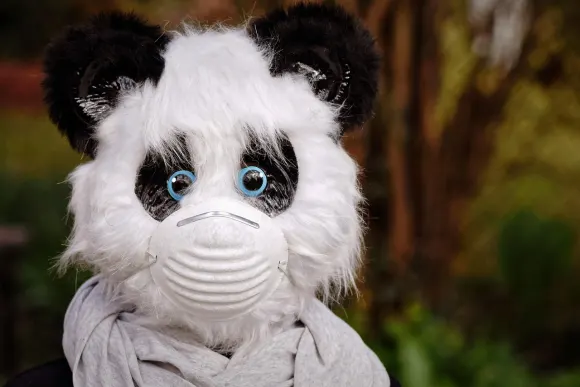 SpinShake Casino Soporte